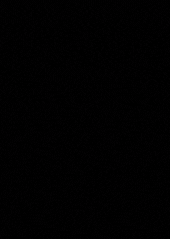 3E9C17