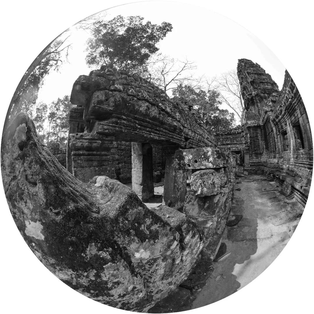 1536216761806047777.jpg