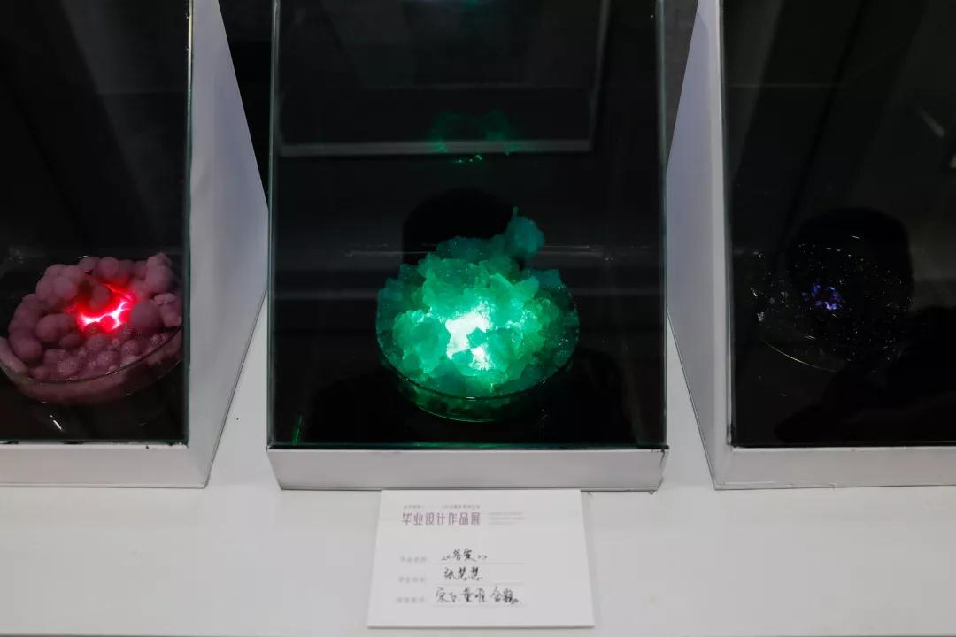 1556002777632055346.jpg